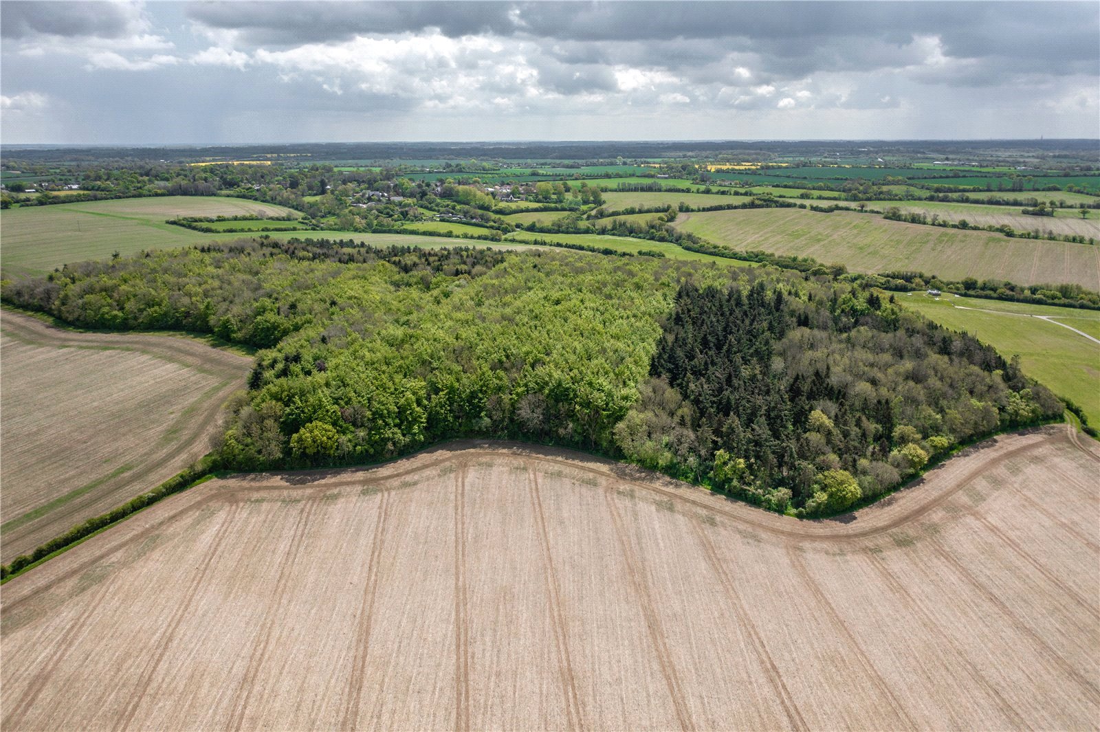 Sewards End, Saffron Walden picture 2