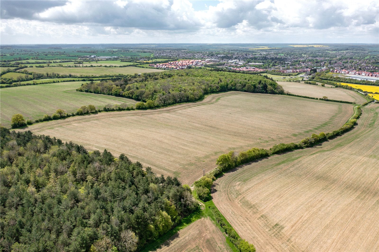 Sewards End, Saffron Walden picture 4