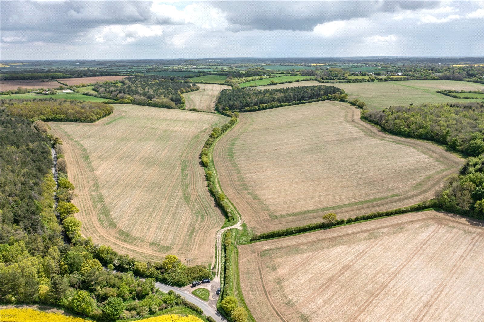 Sewards End, Saffron Walden picture 1