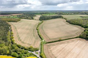 Sewards End, Saffron Walden picture 1