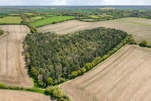 Essex, CB10 2LE picture 4