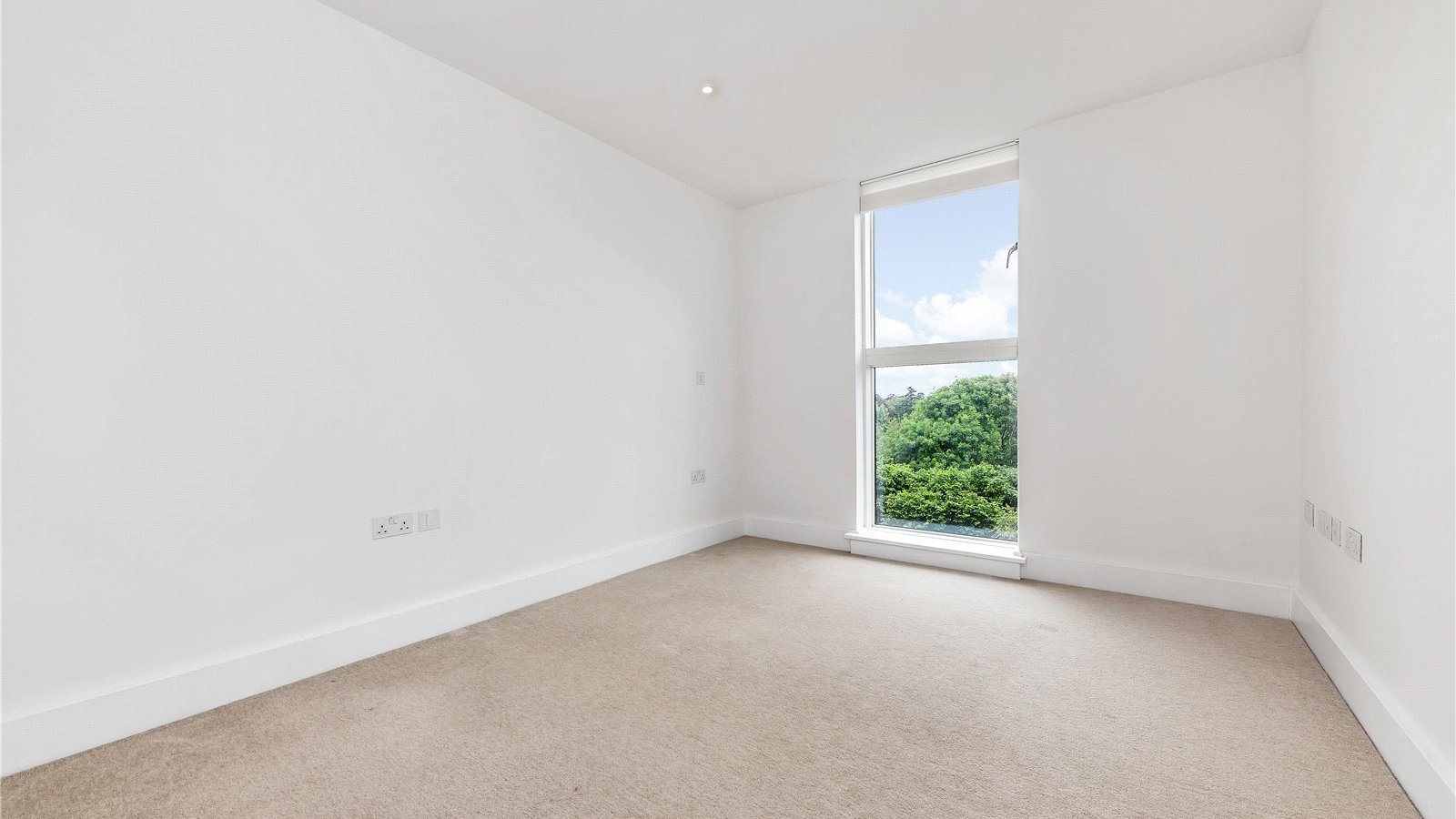 Picture No. 12.jpg Picture No. 12