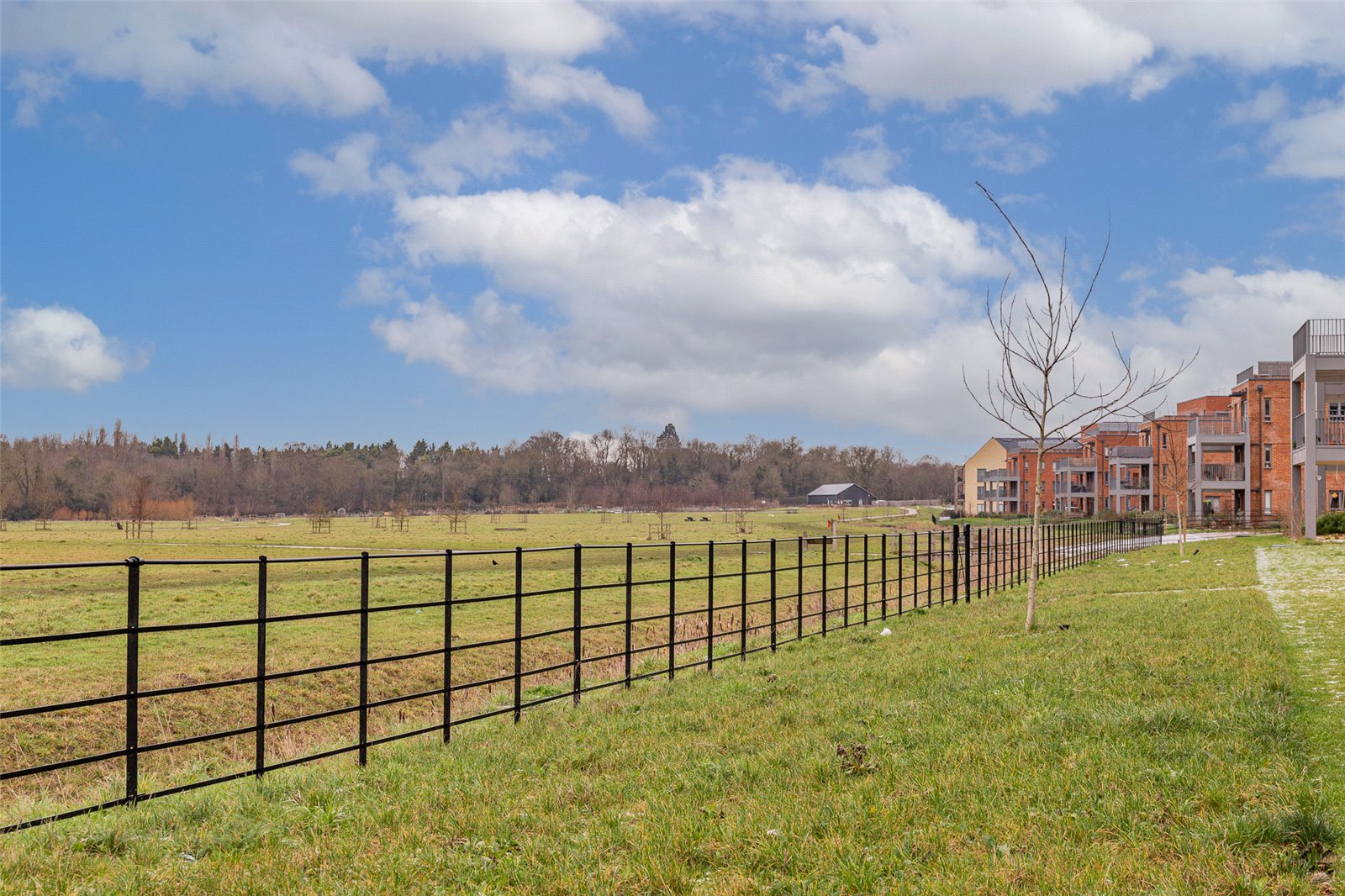 Country Park.jpg