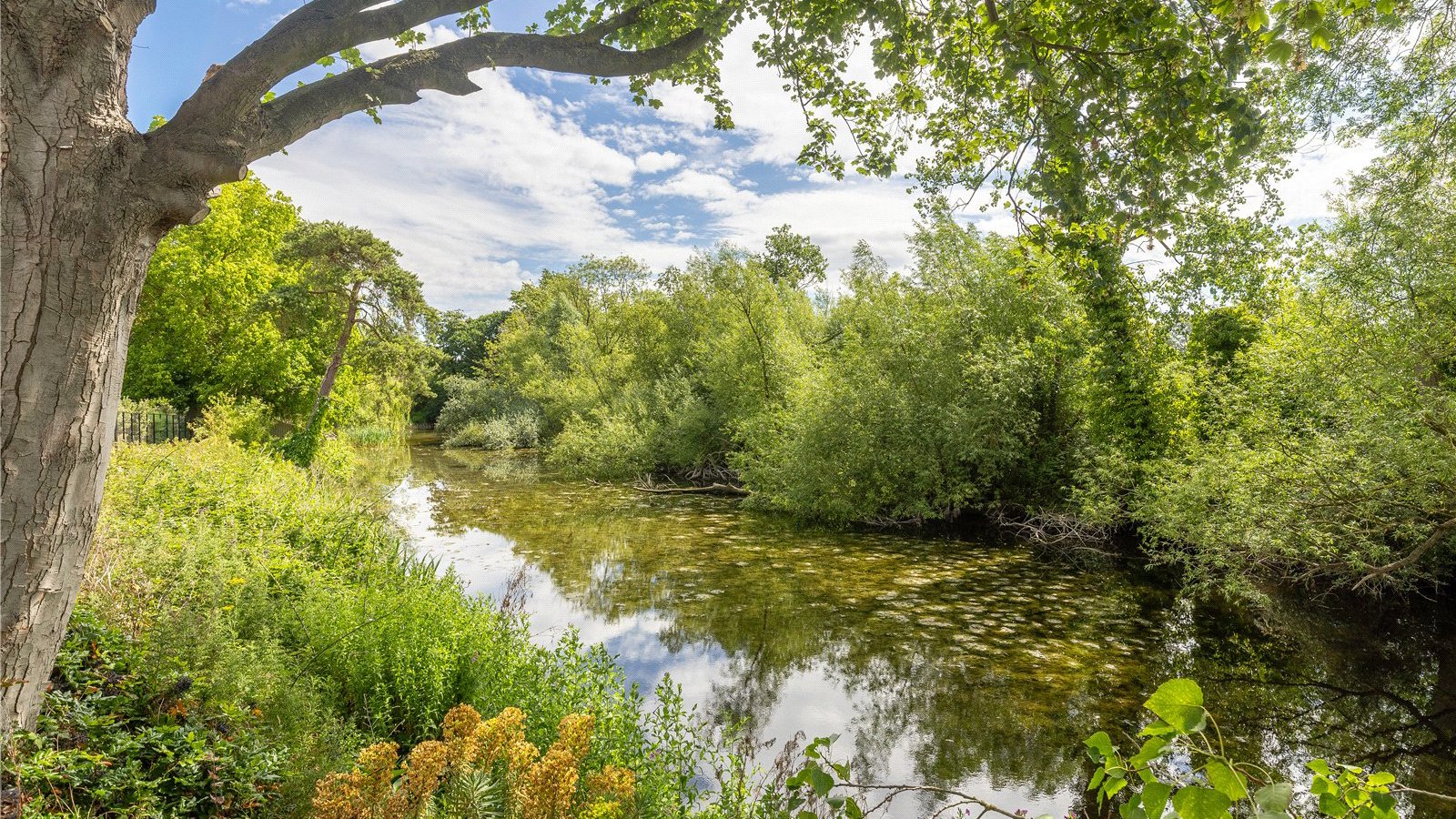 Picture No. 27.jpg Picture No. 27