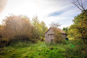 Woodland Off Shelford Road, Whittlesford picture 3