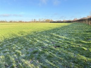 Cambridgeshire, CB23 7AL picture 3