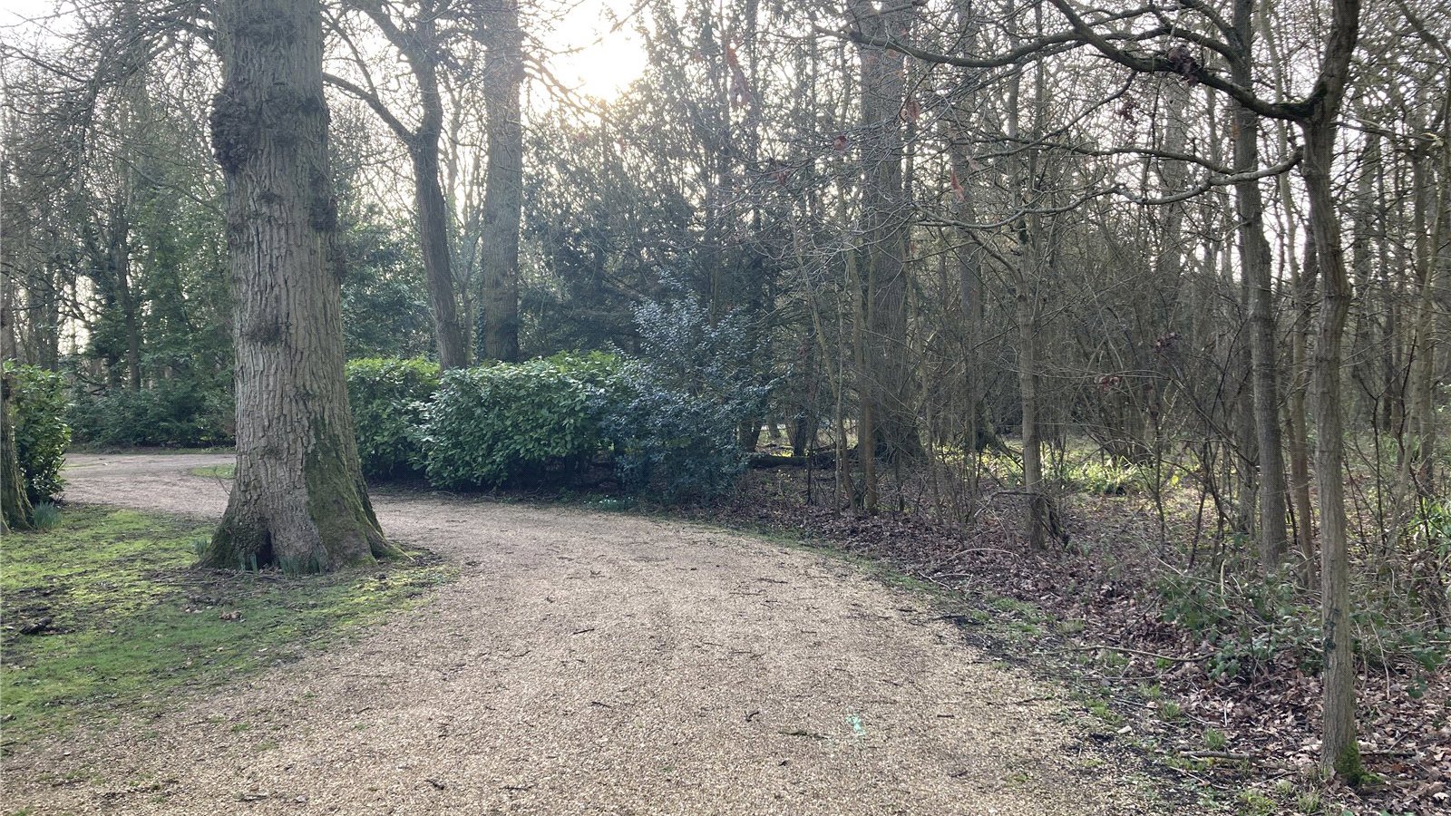 Picture No. 70.jpg Picture No. 70