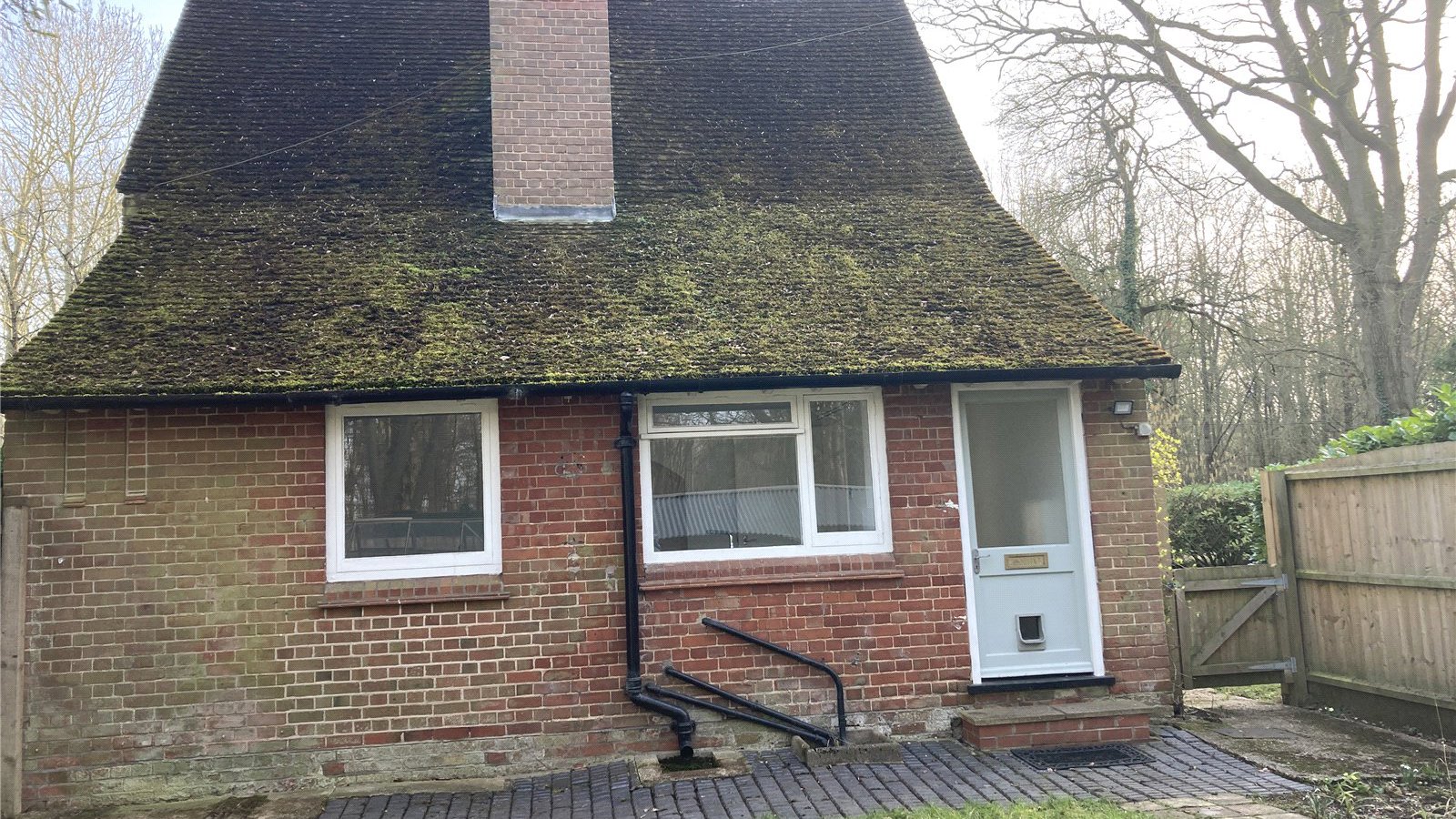 Picture No. 81.jpg Picture No. 81