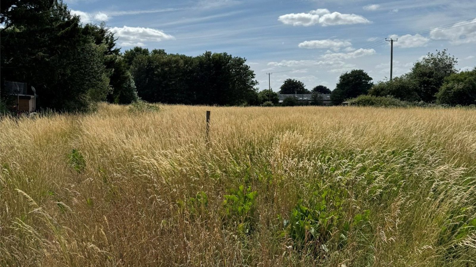 Picture No. 02.jpg Picture No. 02