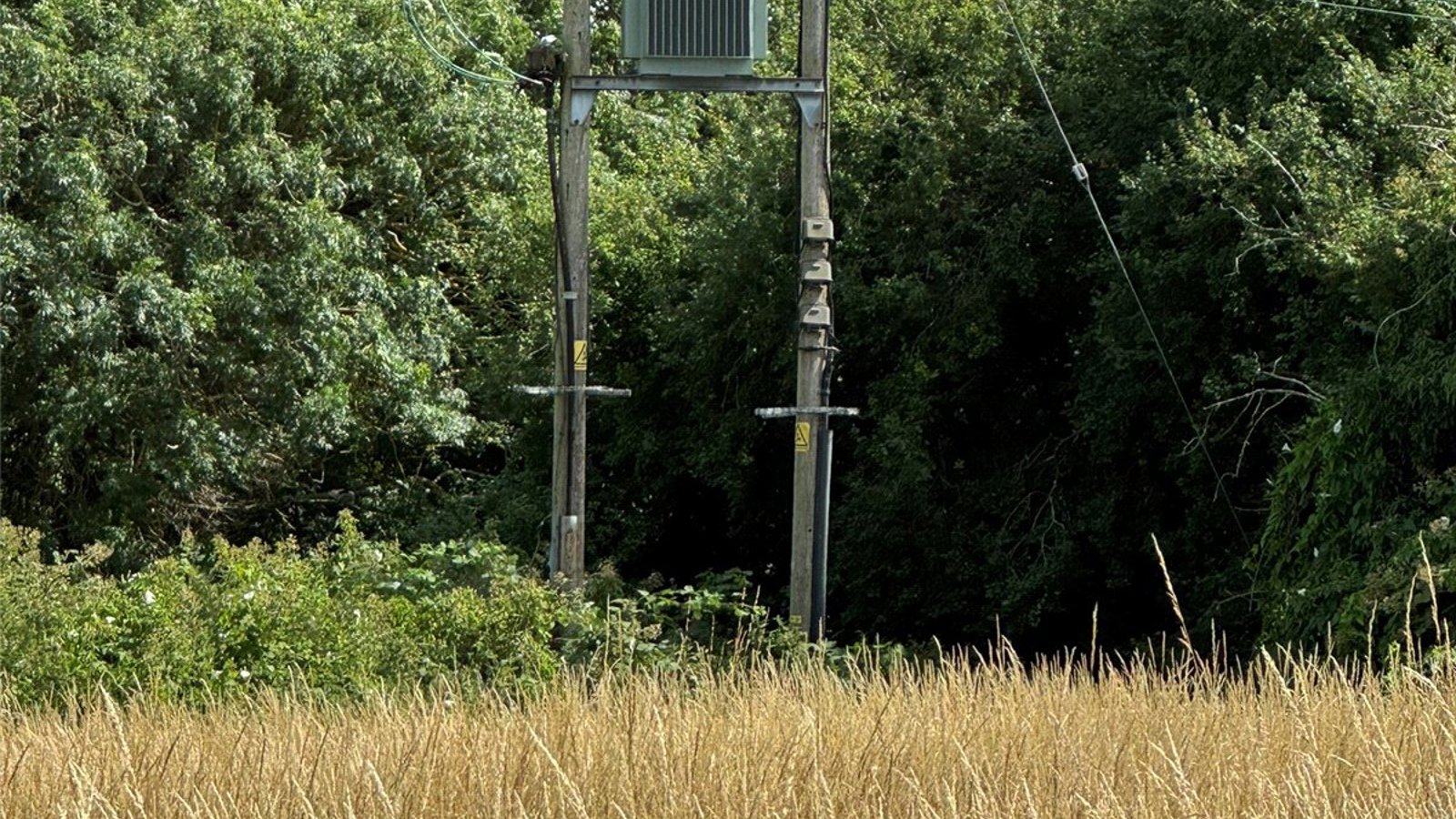 Picture No. 04.jpg Picture No. 04