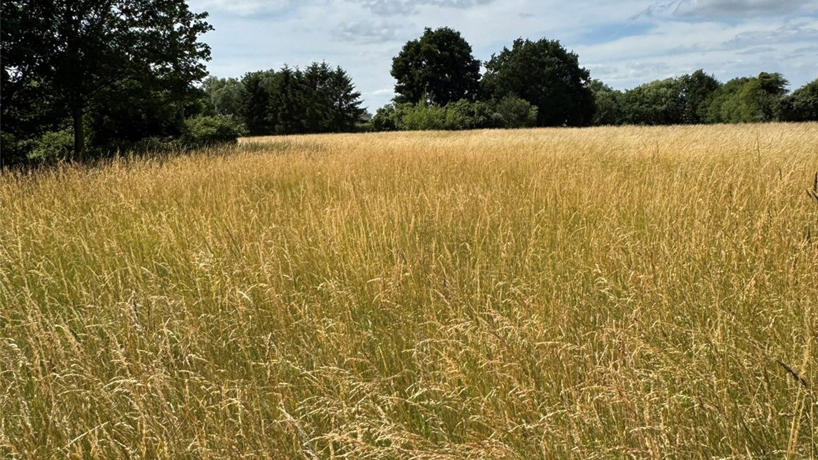 Picture No. 07.jpg Picture No. 07