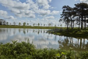 Waterbeach, Cambridgeshire, CB25 9QN picture 5