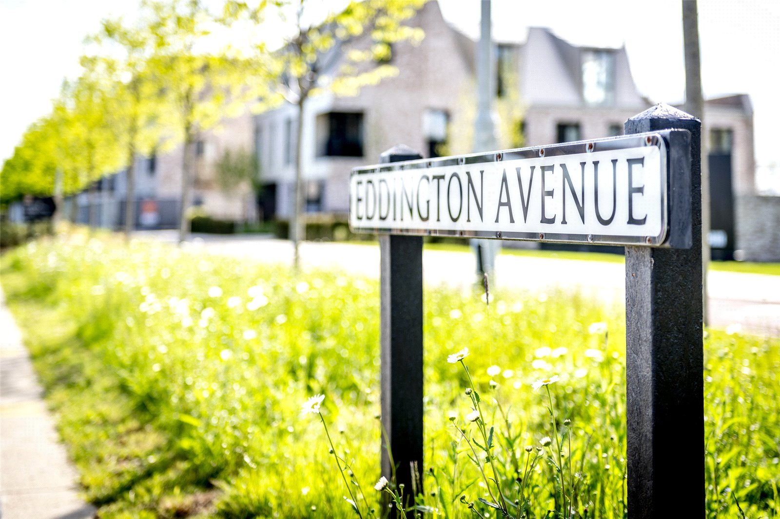 Eddington2.jpg