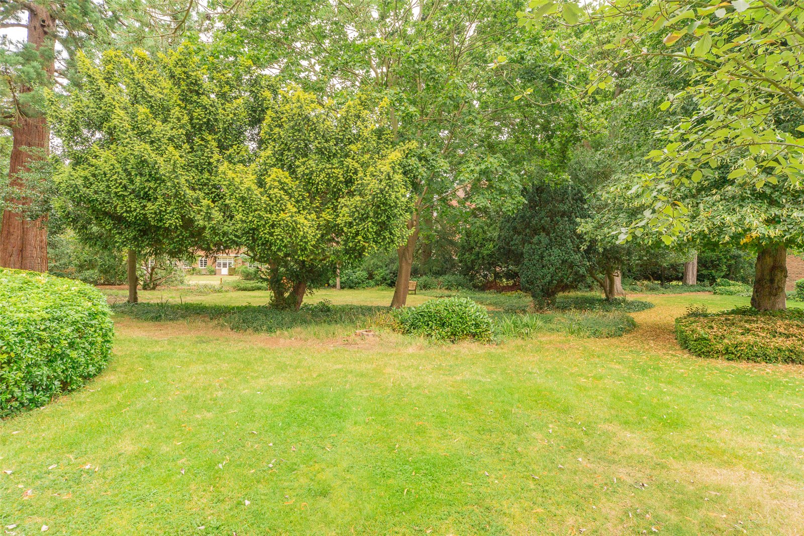 Picture No. 10.jpg