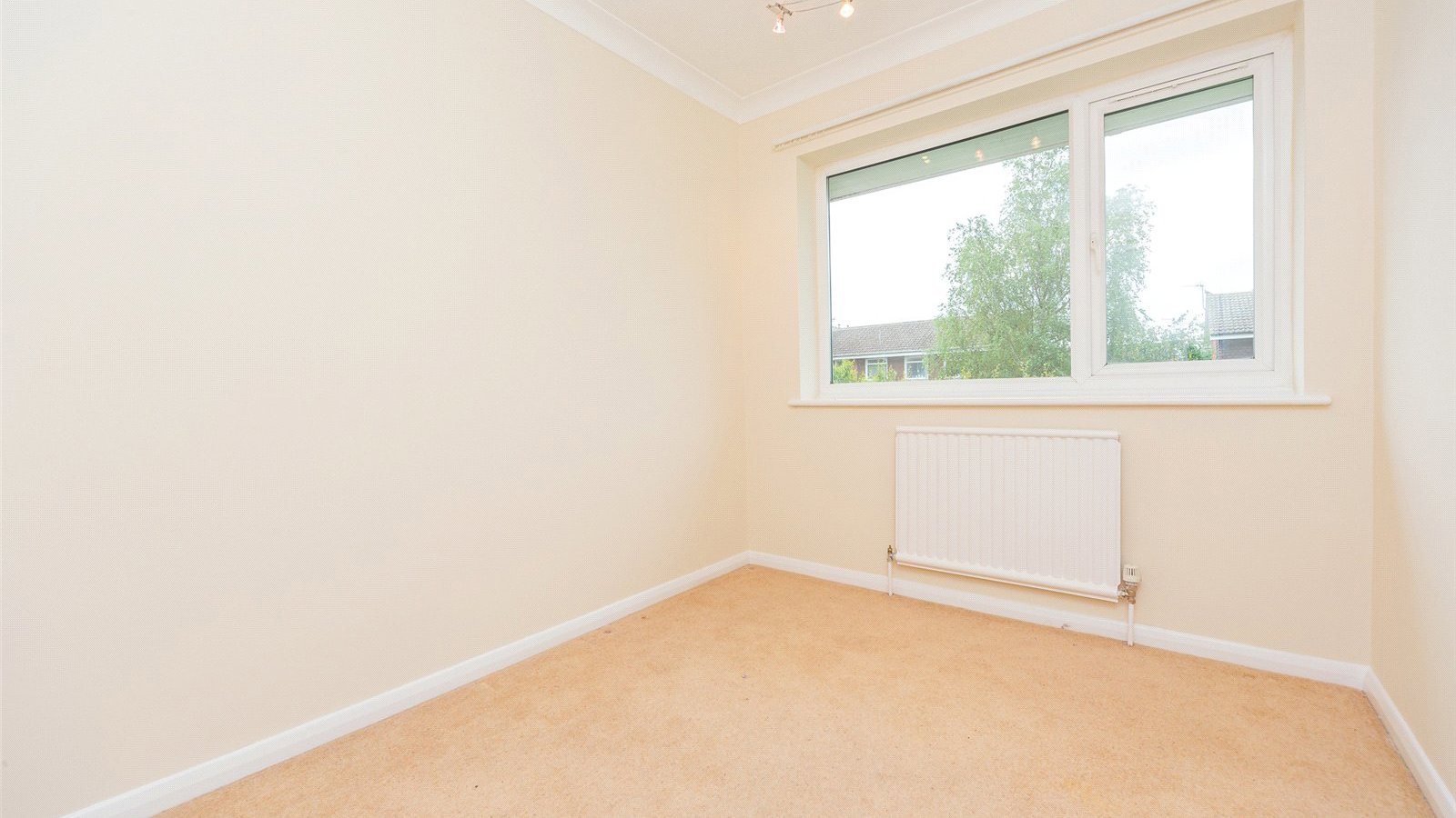 Picture No. 39.jpg Picture No. 39