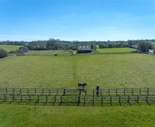 Land At Cross Green, Dullingham picture 4
