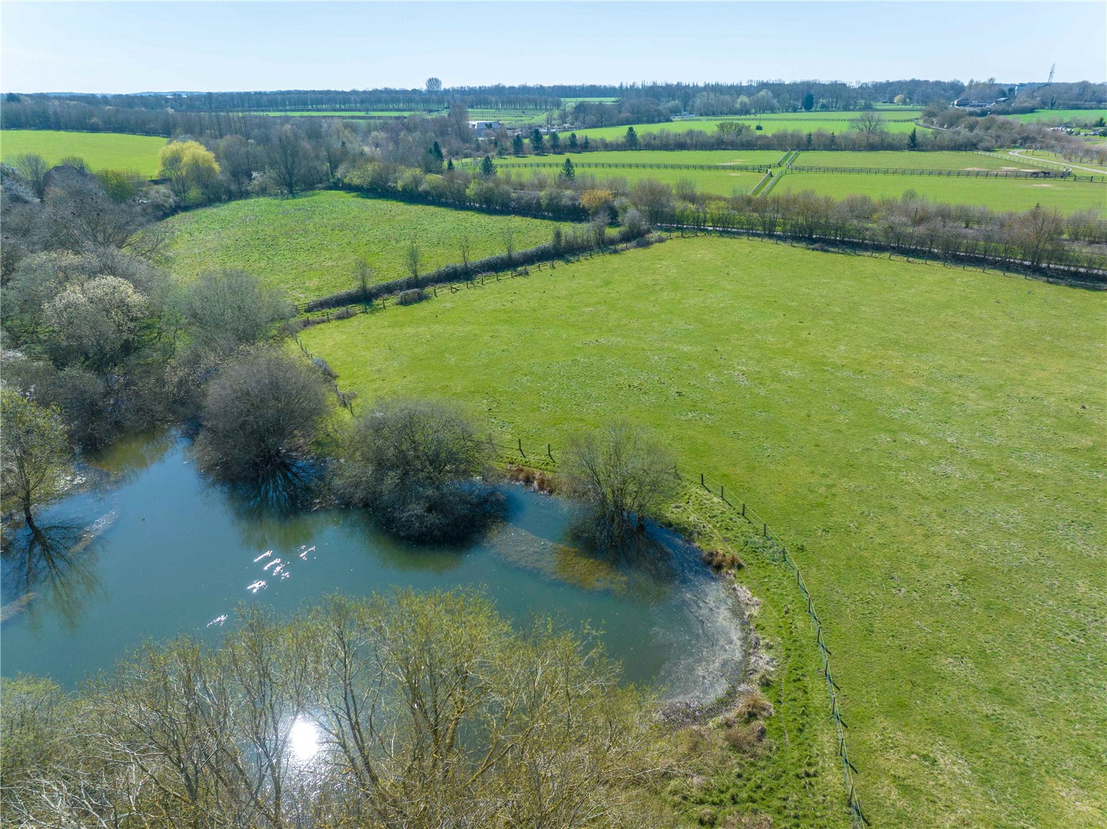 Nr Newmarket, Cambridgeshire, CB8 9XH picture 5