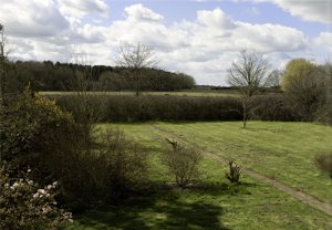 Newmarket, Cambridgeshire, CB8 9TX picture 2