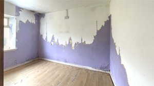 South Tarbrax Farm Cottage and Steading, Finlarg picture 6