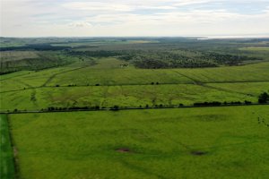 Dumfries, DG1 4RN picture 2