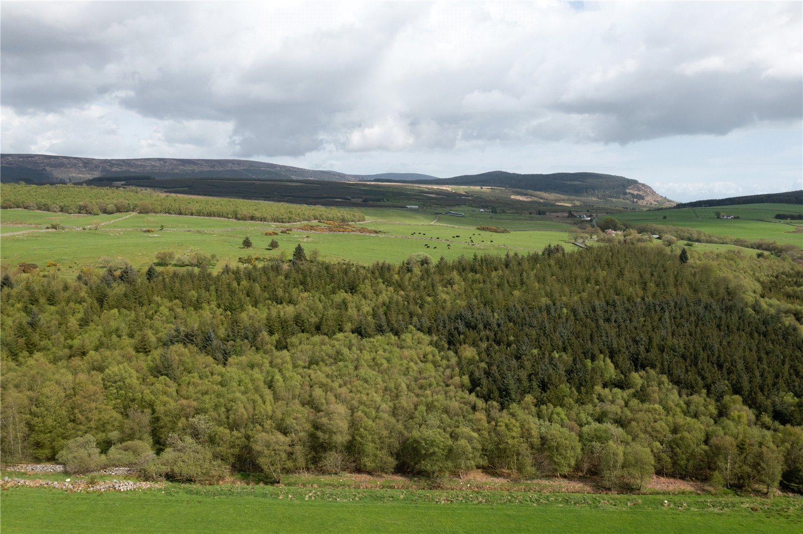 Dumfries and Galloway, DG2 8JU picture 6