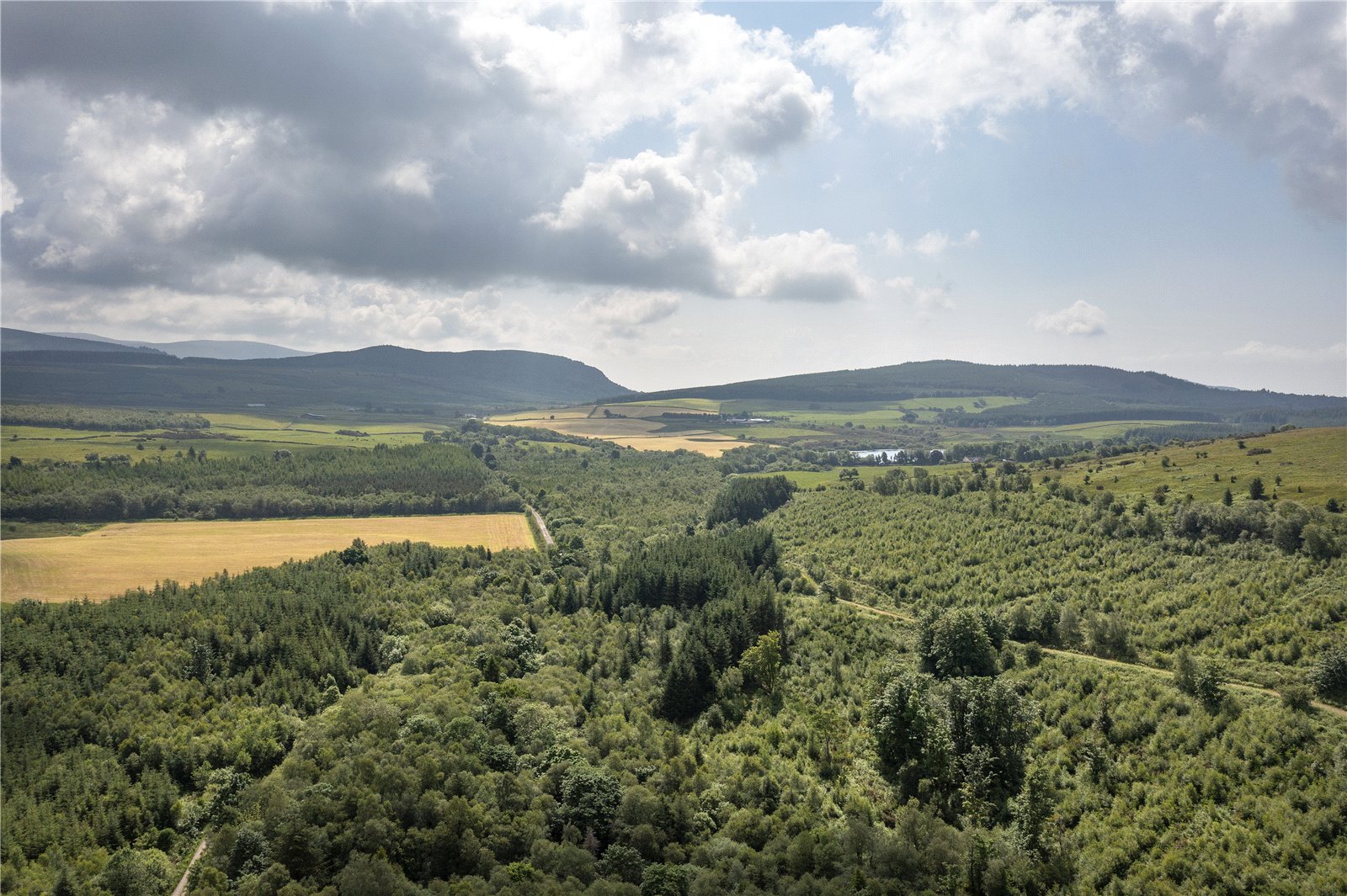 Forestry For Sale Scottish Forestry Sales Bidwells