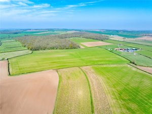 Forwood Farmland, Treswell picture 1
