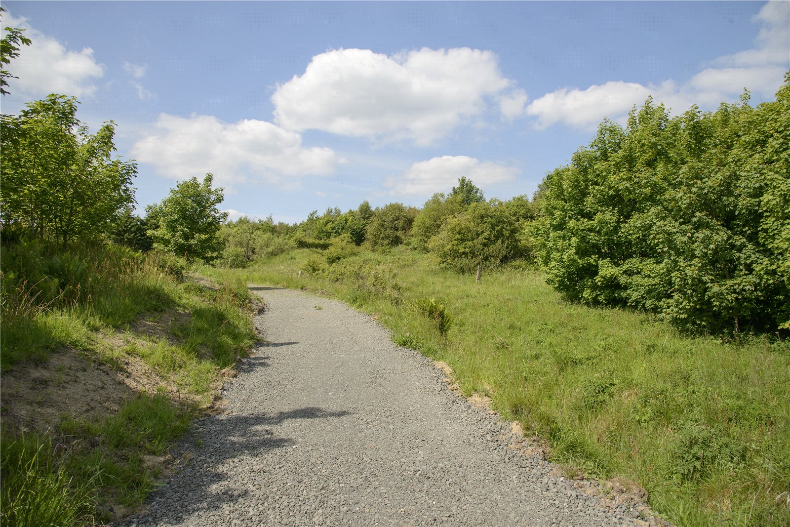 Picture No. 10.jpg