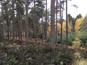 Clackmannanshire, FK10 4EB picture 1