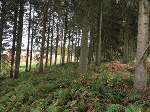 Clackmannanshire, FK10 4EB picture 2