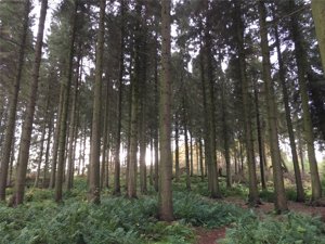 Clackmannanshire, FK10 4EB picture 5