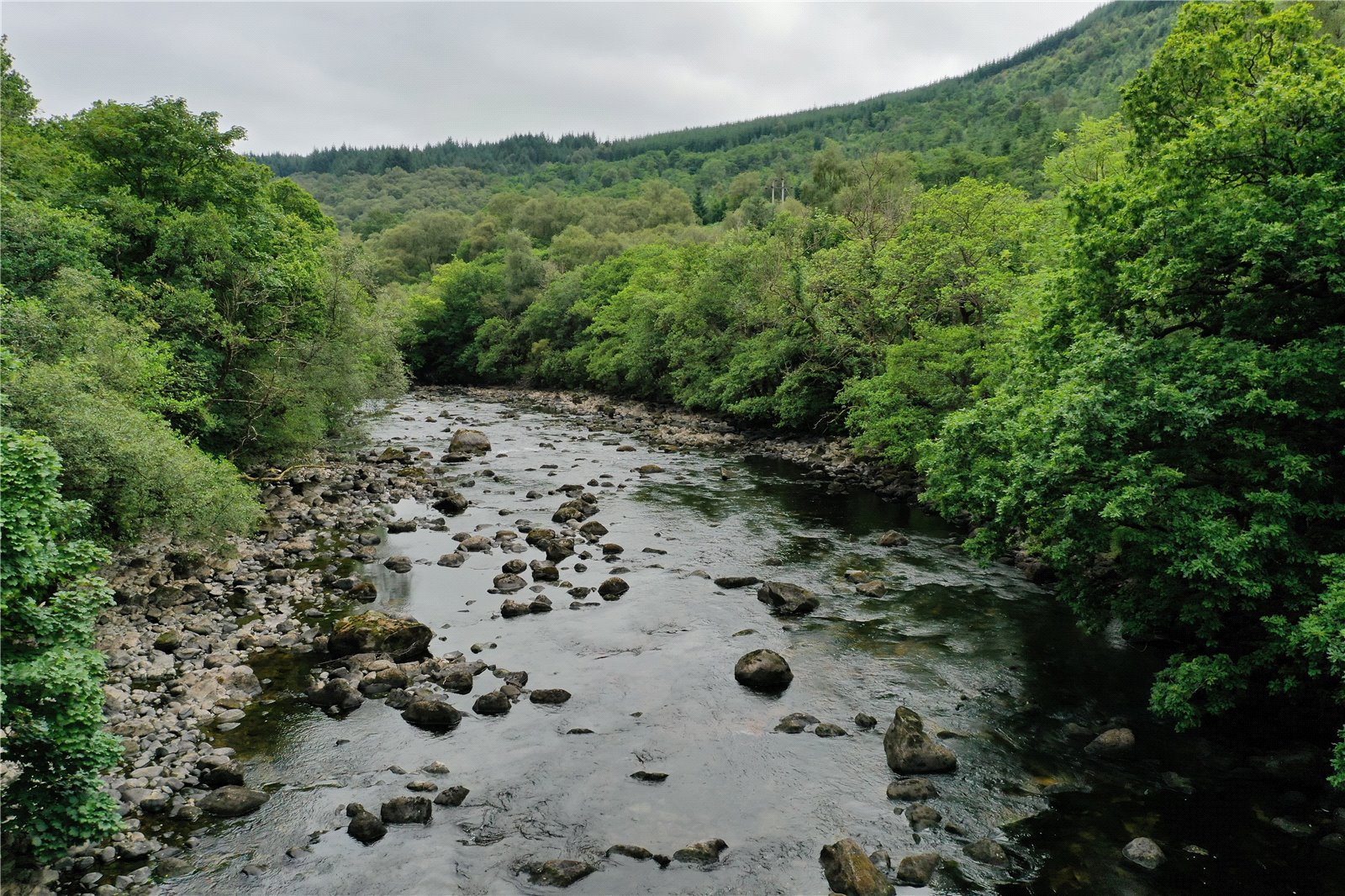 Leny Meadows, Kilmahog picture 3