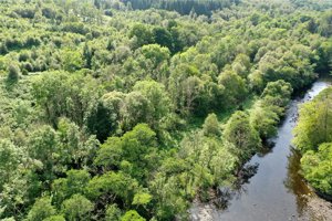 By Callander, FK17 8HD picture 4