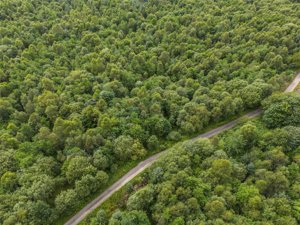 Stirling, Stirlingshire, FK8 3RX picture 4