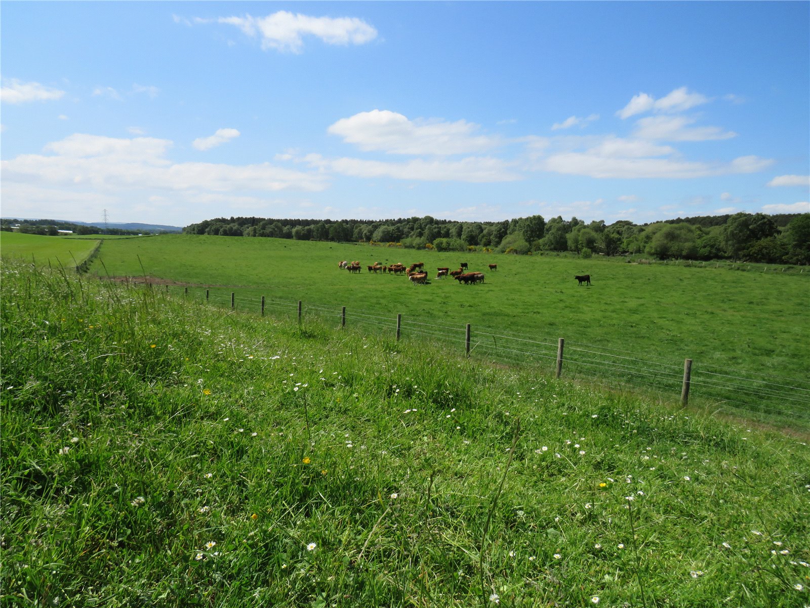 Easter Hardmuir Farm, Auldearn picture 3