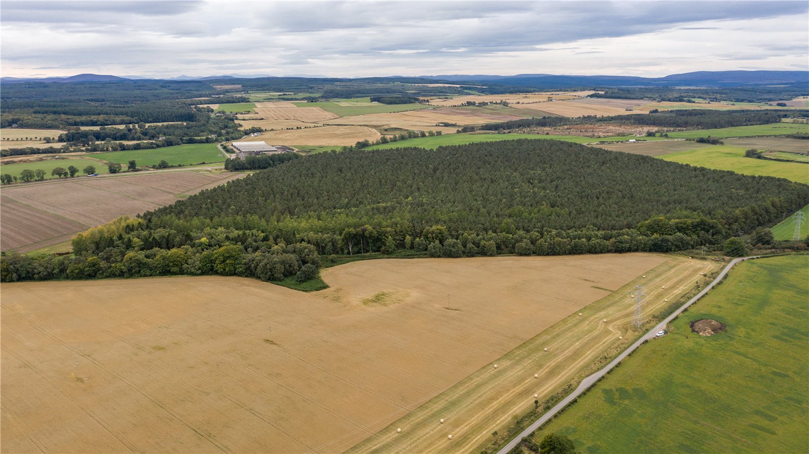 Hardmuir, Brodie picture 2