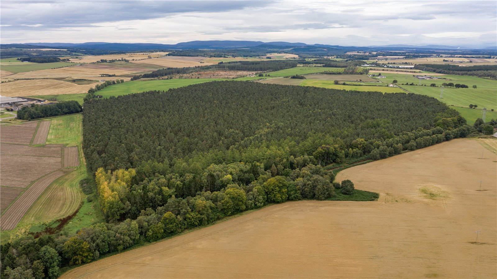 Hardmuir, Brodie picture 3