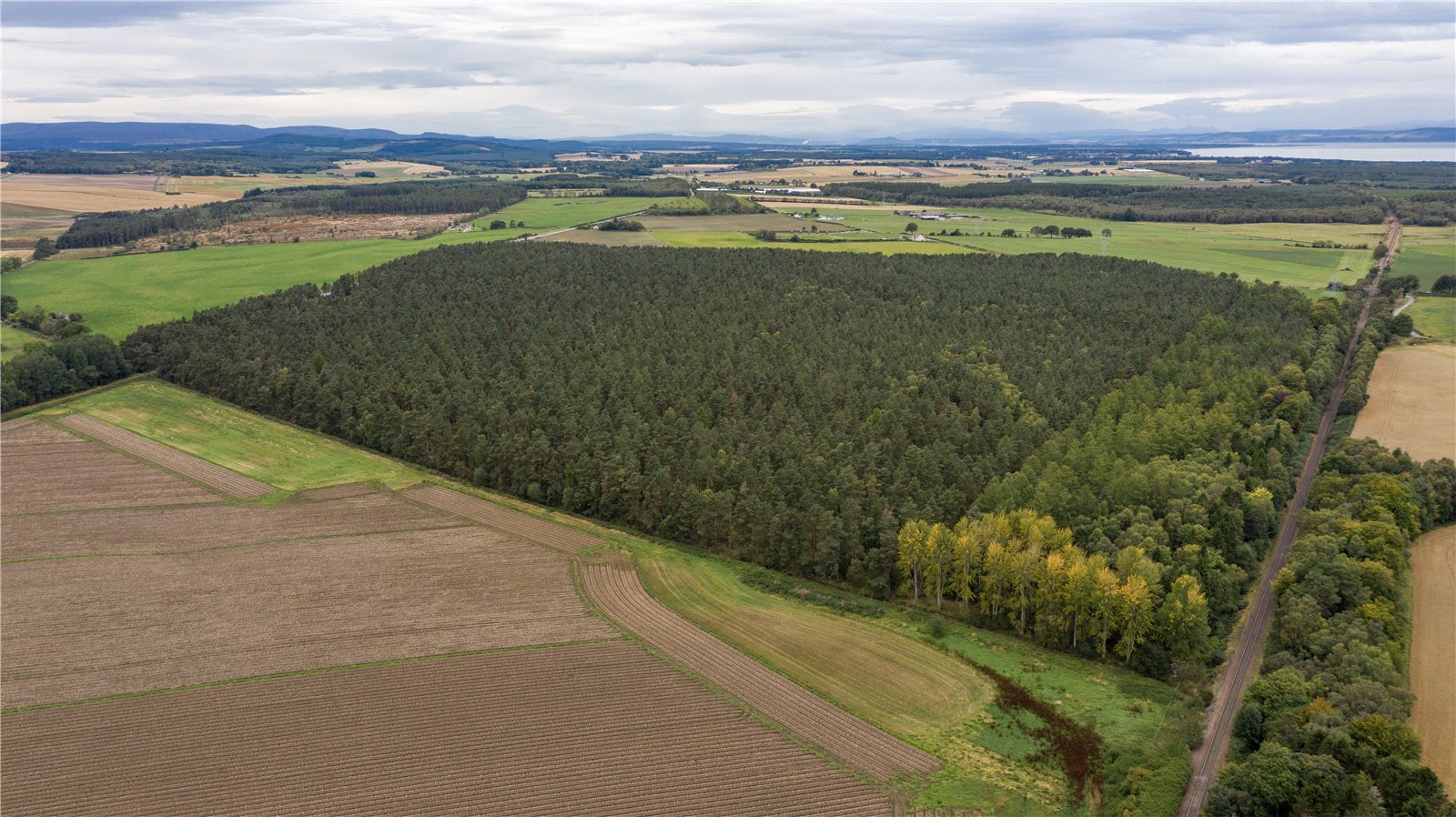 Hardmuir, Brodie picture 4