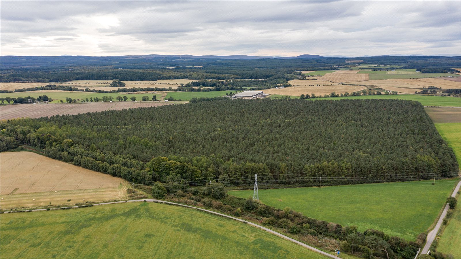 Hardmuir, Brodie picture 1