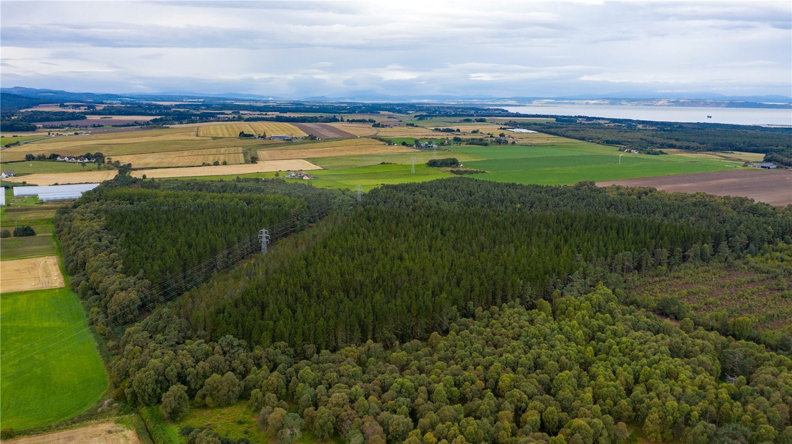 Inshoch Moss Woods, Nairn picture 3