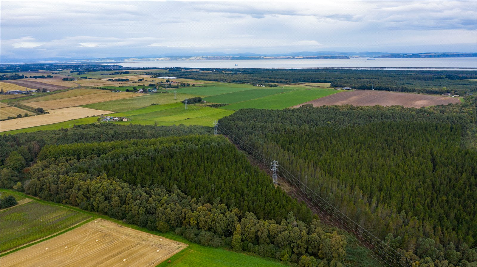 Inshoch Moss Woods, Nairn picture 4