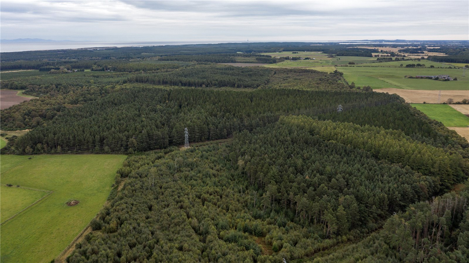 Inshoch Moss Woods, Nairn picture 1