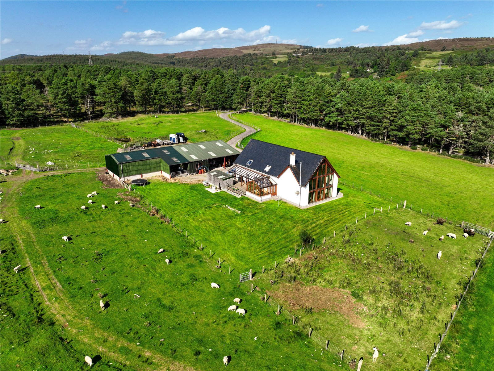 Murphy's Croft, Bonar Bridge picture 1