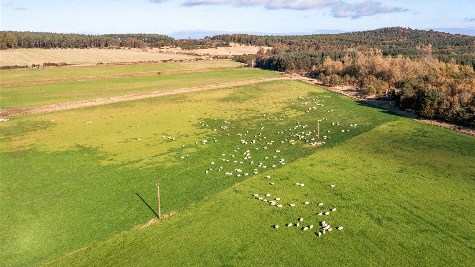 Wards of Alves 07.jpg Wards of Alves 07