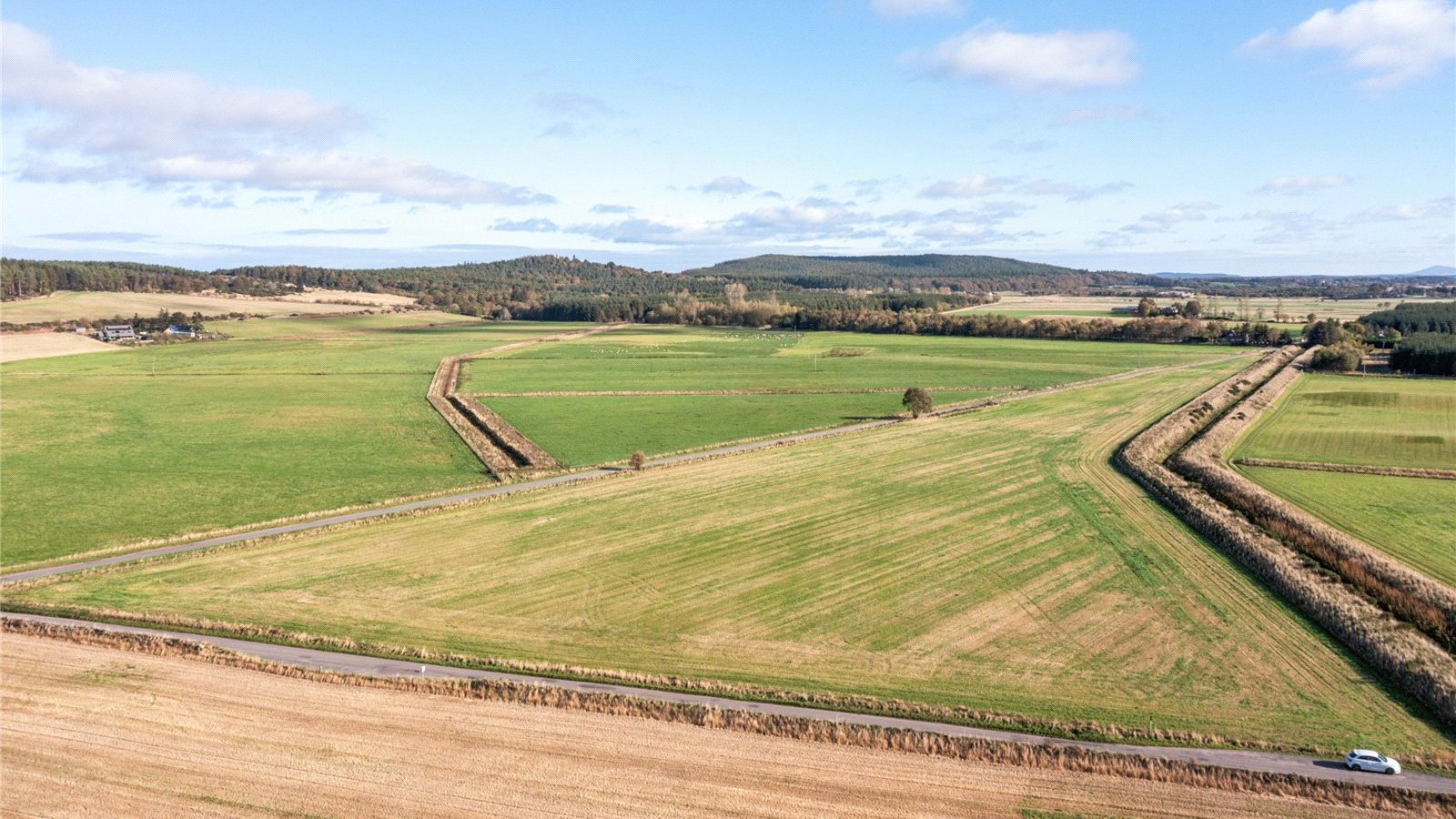 Wards of Alves 09.jpg Wards of Alves 09