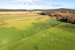 Moray, IV30 8XF picture 2