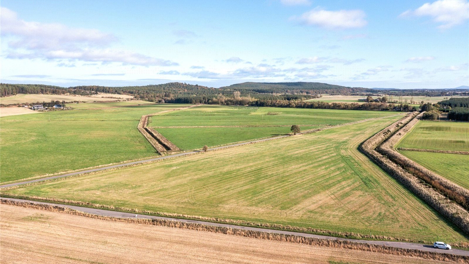 Wards of Alves 09.jpg Wards of Alves 09