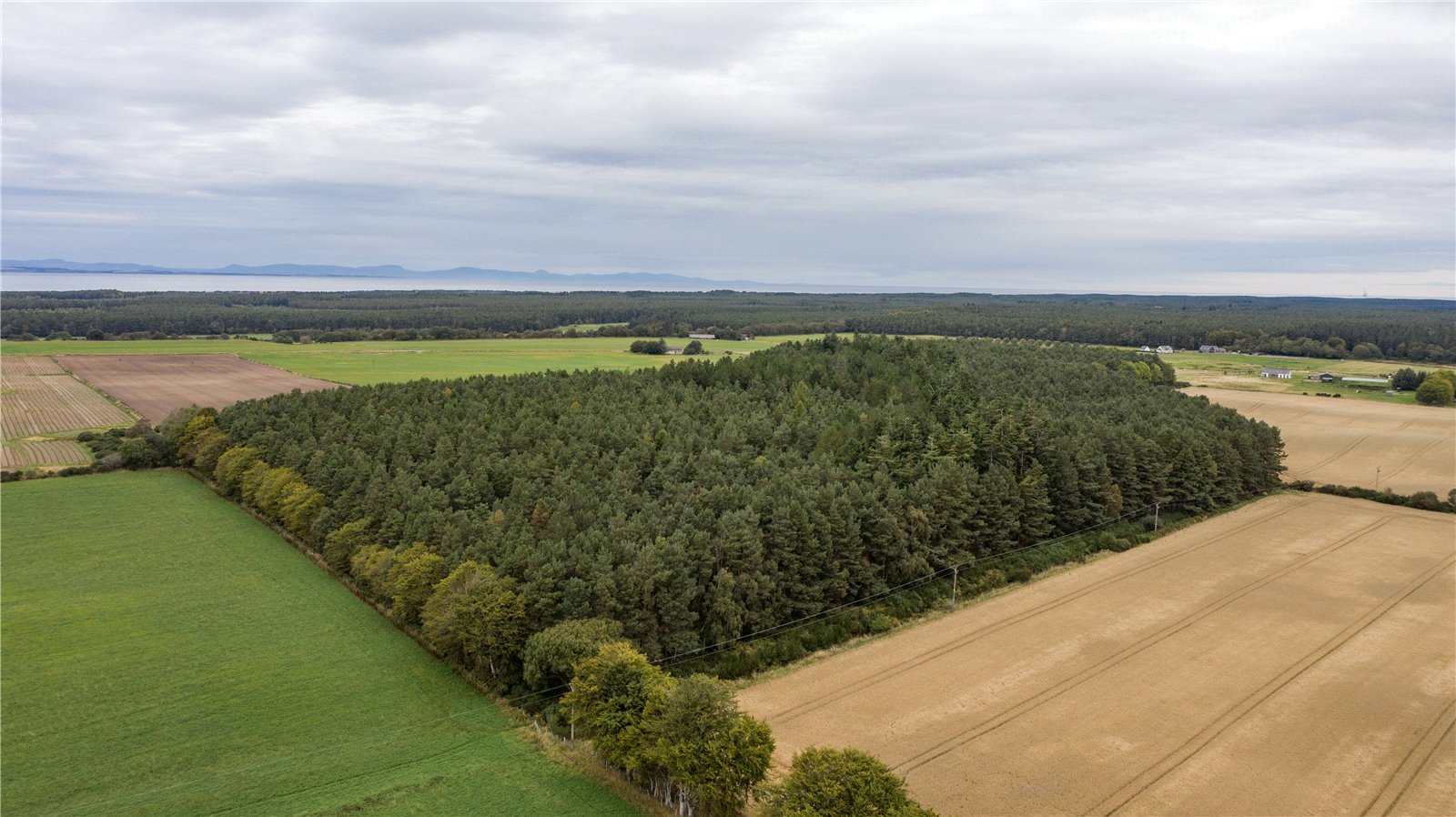 Downie Wood, Brodie picture 2