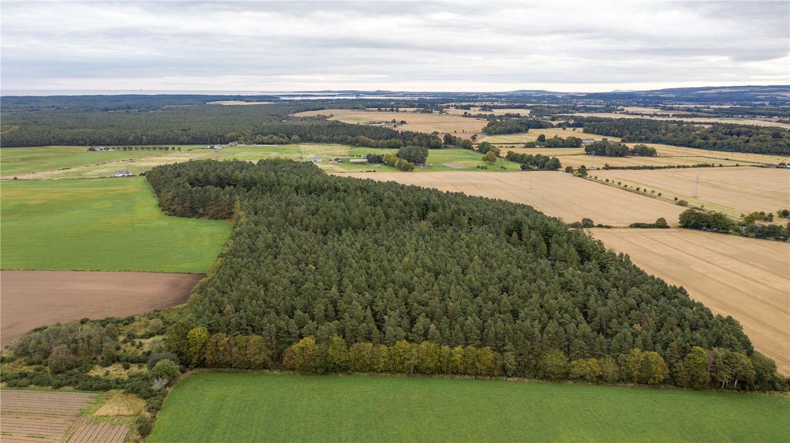 Downie Wood, Brodie picture 4