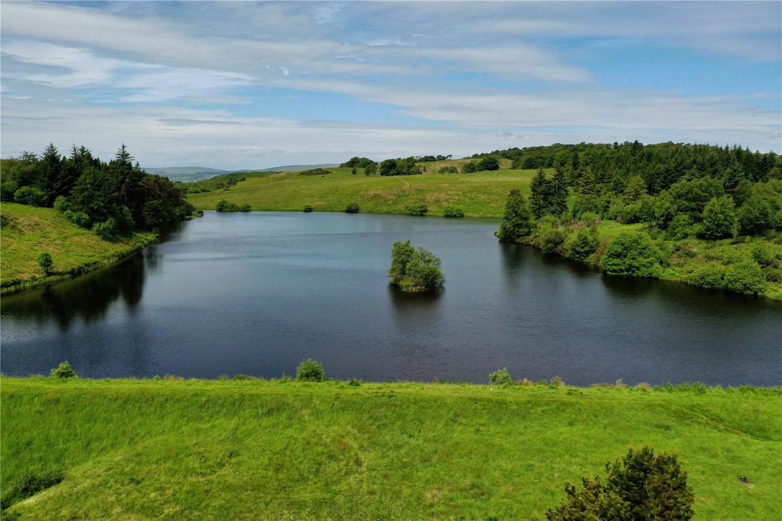 Kirkleegreen Reservoir and Land, Beith picture 3